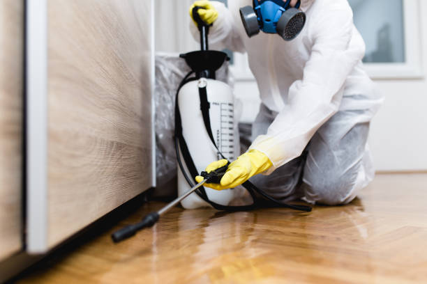 Flea Control Services in Ferndale, MI