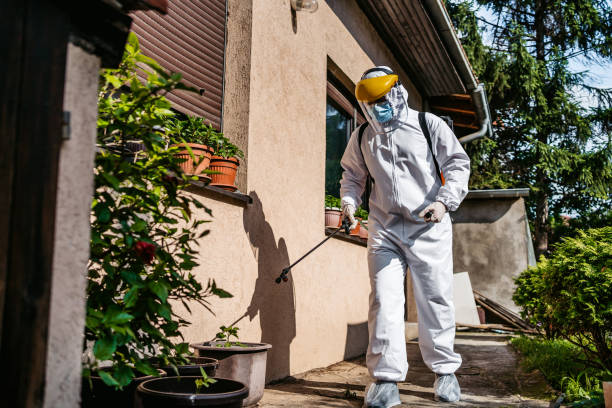 Best Best Pest Control Companies  in Ferndale, MI