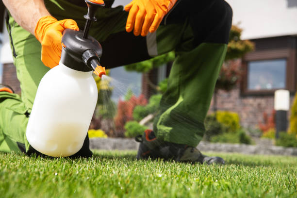 Best Bird Control  in Ferndale, MI