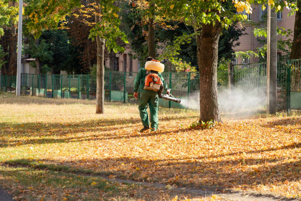Bird Control in Ferndale, MI