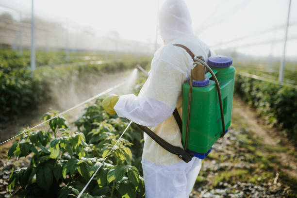 Best Mosquito Control Services  in Ferndale, MI